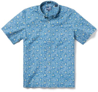 Country Daisy - Blue